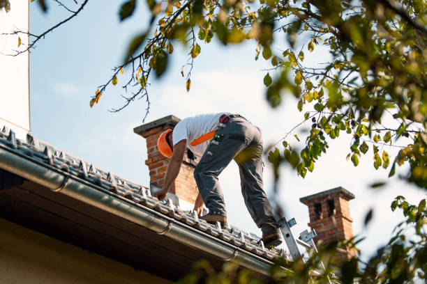 Best Chimney Flashing Repair  in Lake Mawk, OH