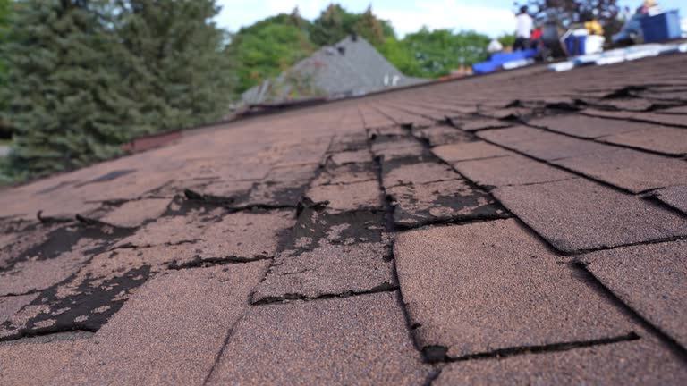 Best 4 Ply Roofing  in Lake Mawk, OH